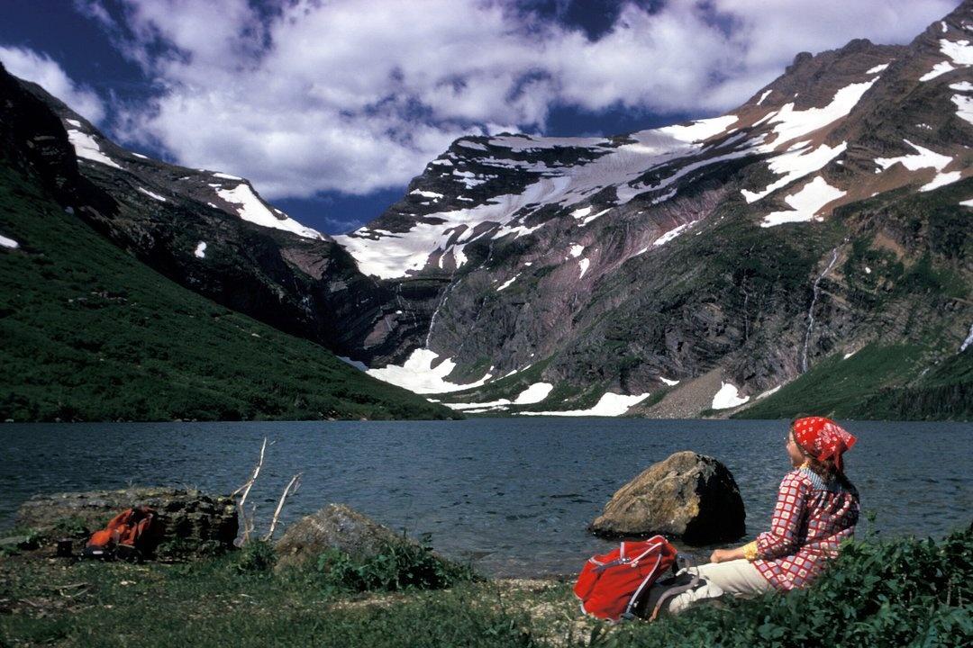 Glacier Parks Night of the Grizzlies